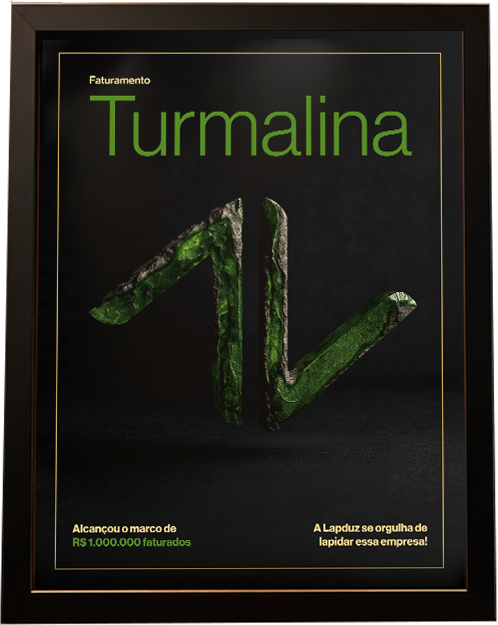 Placa Turmalina — faturamento R$ 1 milhão